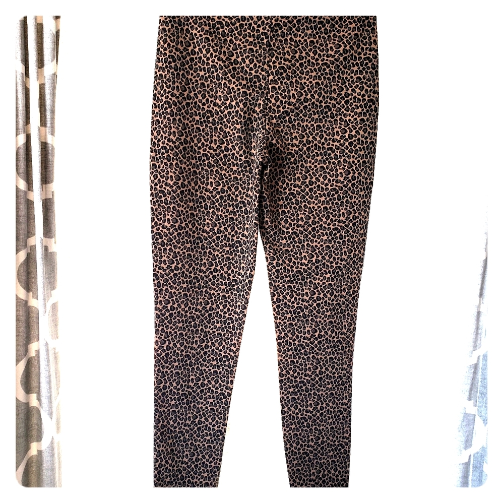 Express high-wasted Leopard print Pants